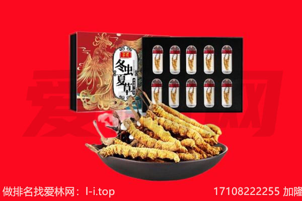 保定市满城回收虫草.jpg